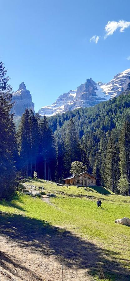 Chalet Brenta Dolomites Madonna Buitenkant foto