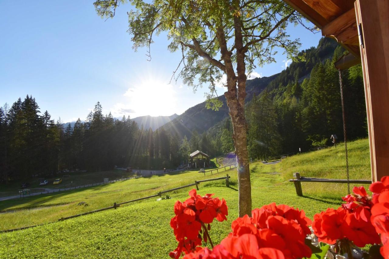 Chalet Brenta Dolomites Madonna Buitenkant foto