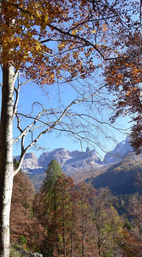 Chalet Brenta Dolomites Madonna Buitenkant foto